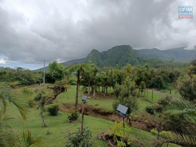 Annonce Vente Maison Plaine-des-palmistes 974