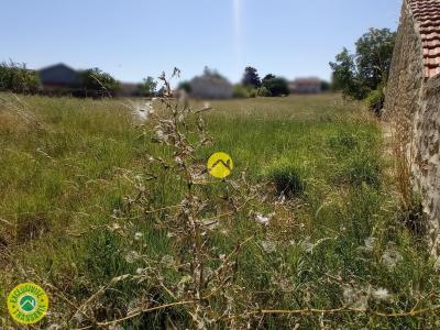 Annonce Vente 7 pi�ces Maison Gannat 03