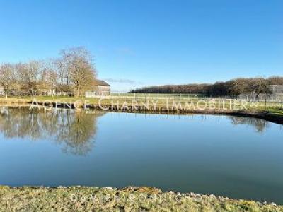 Acheter Maison Douchy Loiret