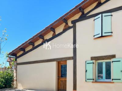 Annonce Vente 6 pi�ces Maison Cassagnabere-tournas 31