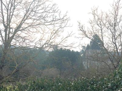 For sale Migne-auxances 662 m2 Vienne (86440) photo 0