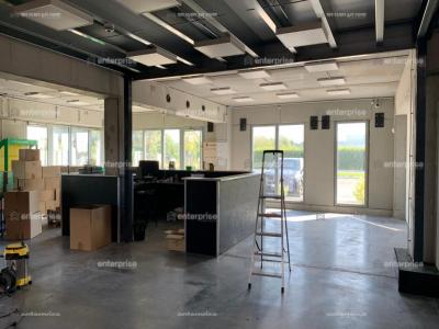 Louer Commerce 1289 m2 Avelin