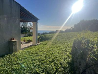 Acheter Prestige 133 m2 Nice