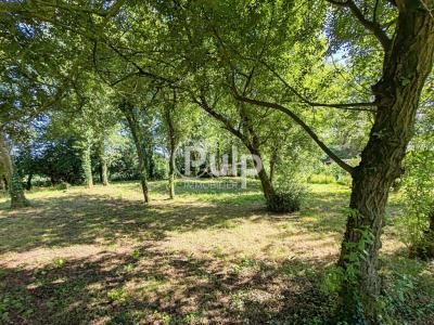 Annonce Vente 5 pi�ces Maison Bainghen 62