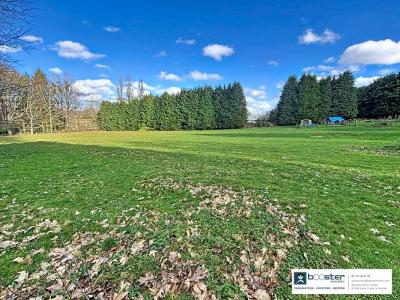 Annonce Vente Terrain Saint-yrieix-la-perche 87