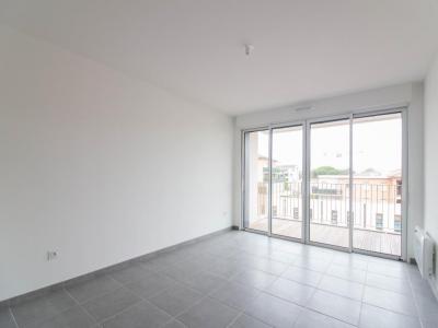 Annonce Location 2 pi�ces Appartement Toulouse 31