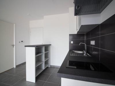 Louer Appartement Toulouse 669 euros