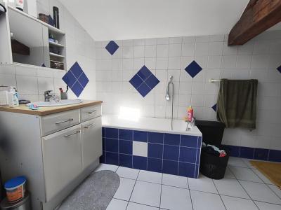 Annonce Location Appartement Montauban 82