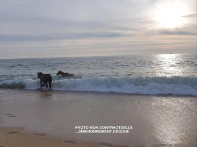 Annonce Vente Terrain Plouhinec 56