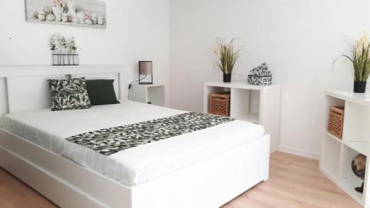 Annonce Location 2 pi�ces Appartement Bordeaux 33