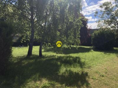 Annonce Vente 6 pi�ces Maison Avord 18