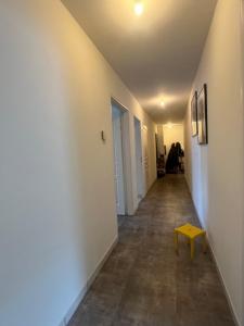 Louer Appartement Rouen 1436 euros