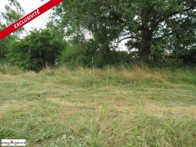 Annonce Vente Terrain Vendat 03