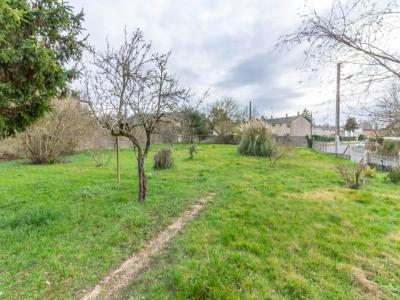 Acheter Prestige Chabris Indre