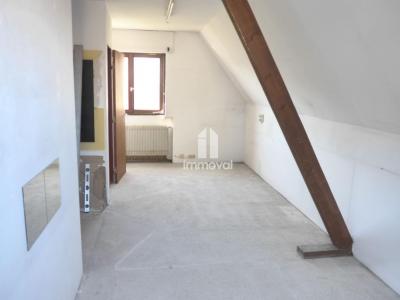 Louer Local commercial Ittenheim Bas rhin