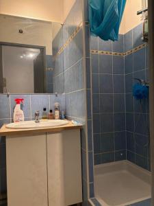 Acheter Appartement 19 m2 Hasparren