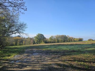 Annonce Vente 5 pi�ces Maison Montastruc-la-conseillere 31