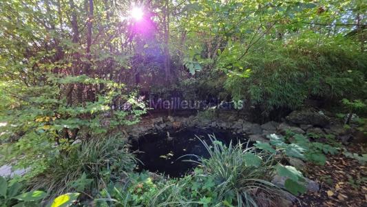 For sale Saint-martin-sur-ecaillon 10 rooms 330 m2 Nord (59213) photo 1