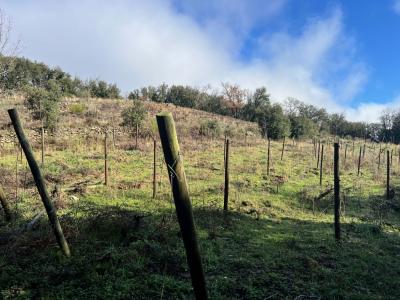 Annonce Vente Terrain  34