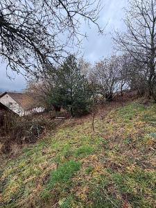 Annonce Vente 5 pi�ces Maison  67