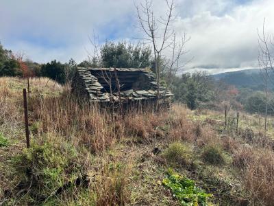 Annonce Vente Terrain  34