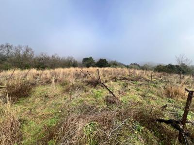 Acheter Terrain  Herault