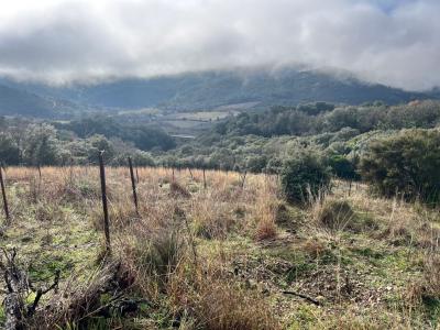 Acheter Terrain  12000 euros