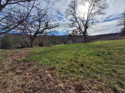 Annonce Vente 3 pi�ces Maison  87