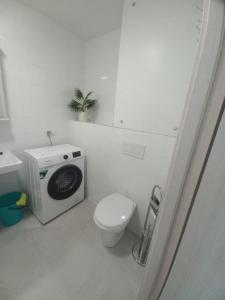 For rent Paris-15eme-arrondissement 2 rooms 32 m2 Paris (75015) photo 3