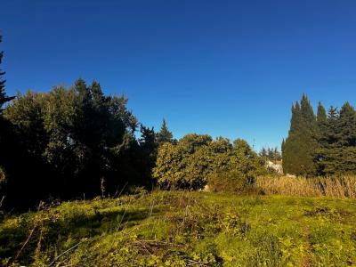 For sale Meynes 700 m2 Gard (30840) photo 0