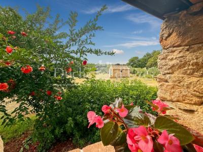 Acheter Maison Uzes Gard