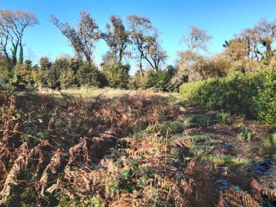 Annonce Vente Terrain Landudec 29