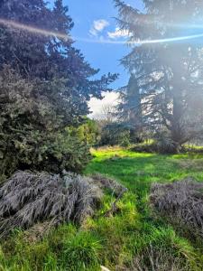 Acheter Maison 86 m2 Montelier