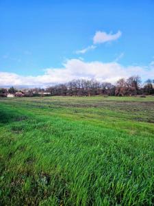 Acheter Maison 90 m2 Pont-de-l'isere