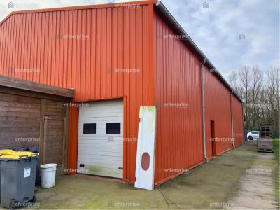 For rent Provin 500 m2 Nord (59185) photo 3