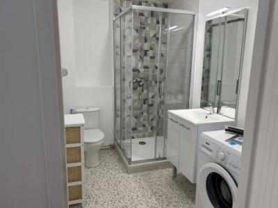 For rent Aubigny-sur-nere 1 room 33 m2 Cher (18700) photo 3