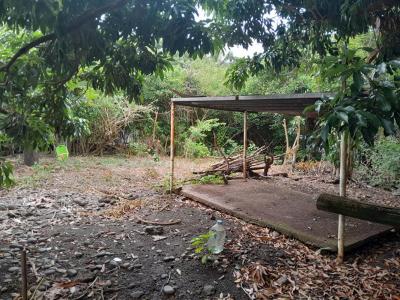 Annonce Vente Terrain Sainte-clotilde 974