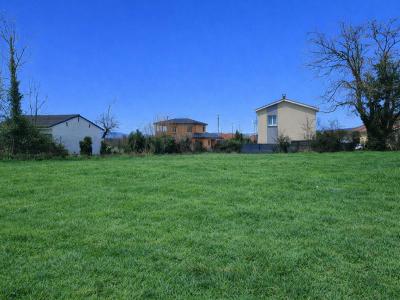 Annonce Vente Terrain Assieu 38