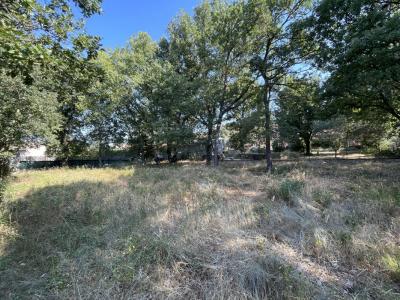 For sale Volx 330 m2 Alpes de haute provence (04130) photo 0