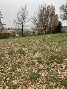 For sale Pertuis 250 m2 Vaucluse (84120) photo 0