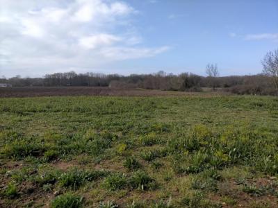 For sale Moeze 580 m2 Charente maritime (17780) photo 0