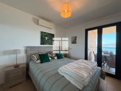 Annonce Vente 2 pi�ces Appartement Pietrosella 20