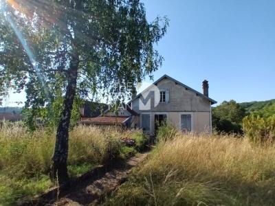 Annonce Vente 5 pi�ces Maison Torcenay 52