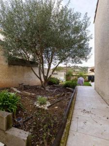 Acheter Maison Clermont-l'herault 310000 euros