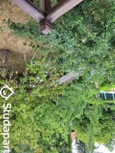 Louer Appartement Villebon-sur-yvette Essonne