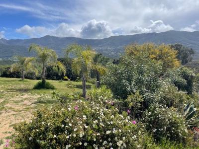 For sale Calcatoggio 7 rooms 132 m2 Corse (20111) photo 0