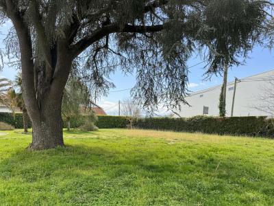 Annonce Vente Terrain Lescar 64