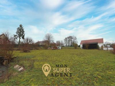 Annonce Vente 6 pi�ces Maison Vinneuf 89