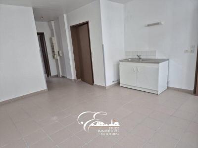 Annonce Location Commerce Audruicq 62