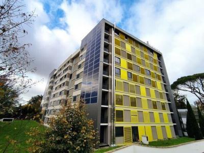 For sale Toulouse 1 room 30 m2 Haute garonne (31400) photo 0